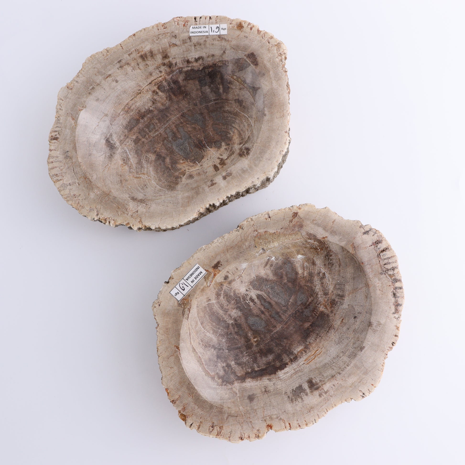 Petrified Wood Bowls Set of 2 - Expert Wholesale and Supplier of Wholesale Crystals & Bulk Gemstones, ["Bowls","Indonesia","Petrified Wood"]