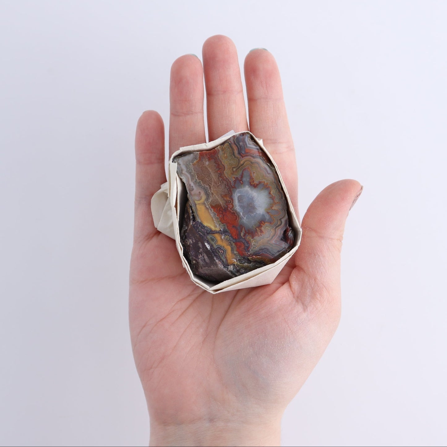 Crazy Lace Agate Flat of 15