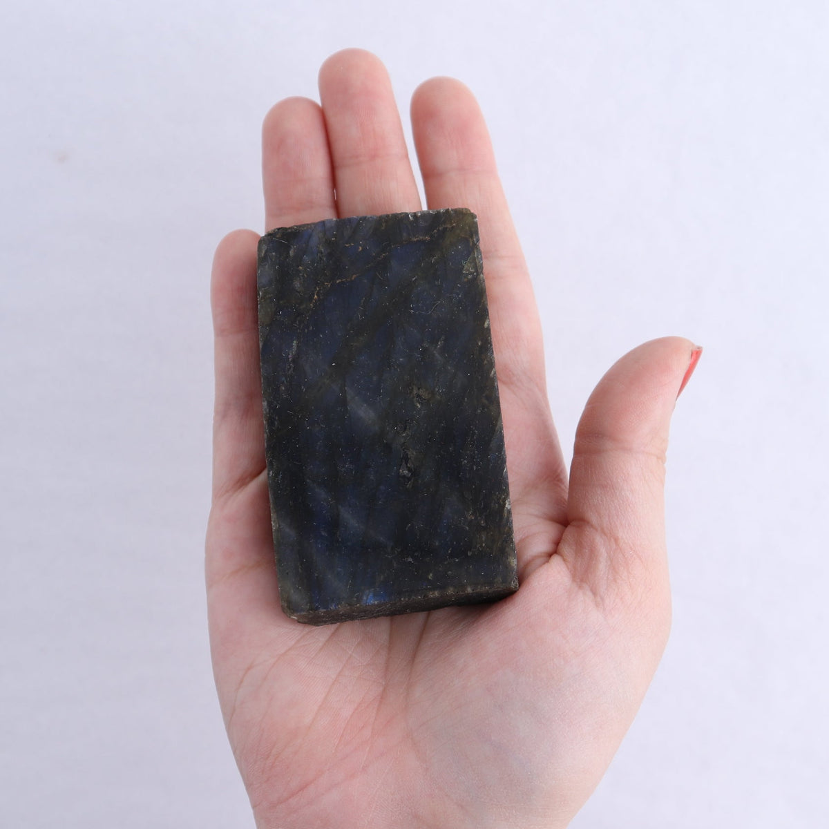 Labradorite Freeform Set of 16