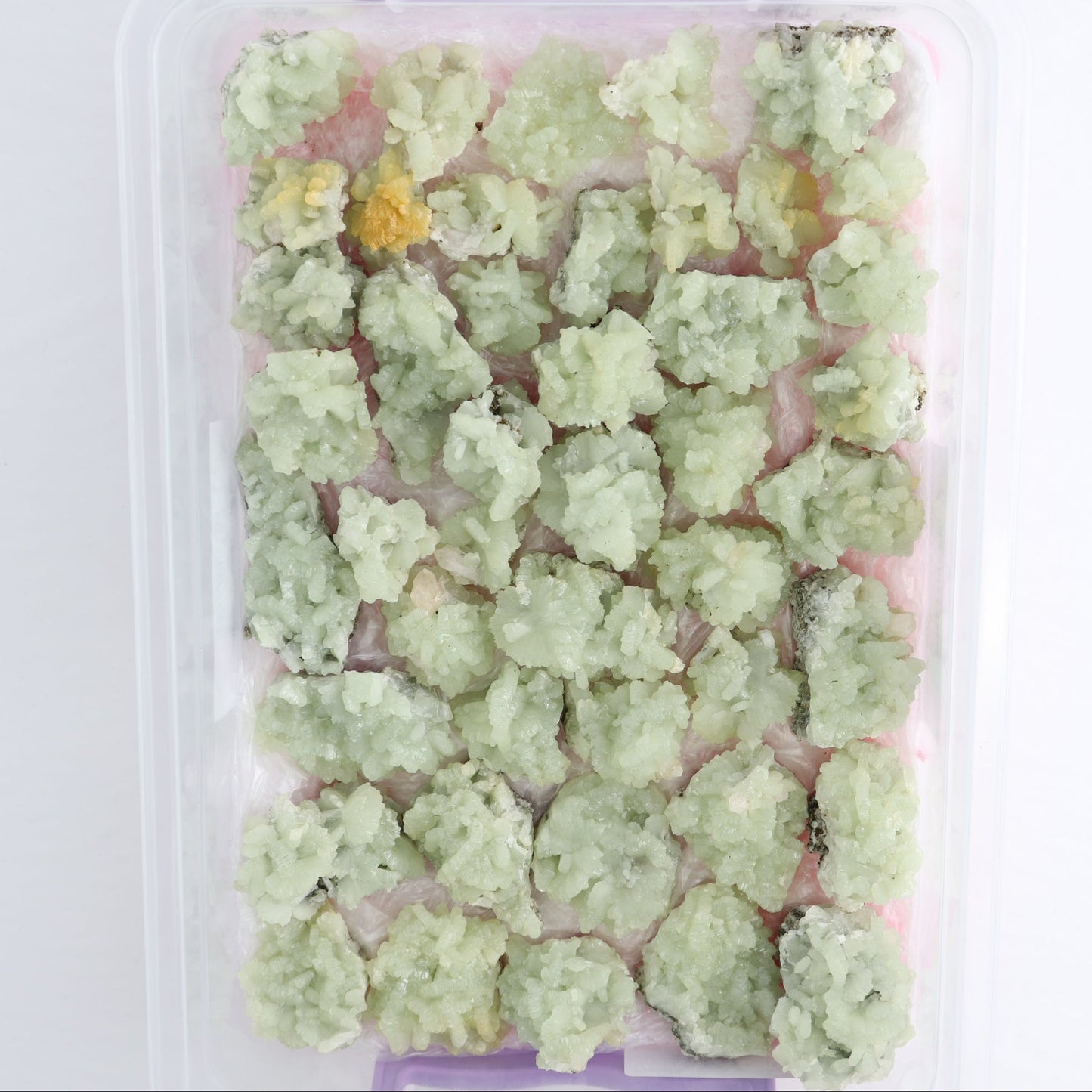 Prehnite Flat from Morocco