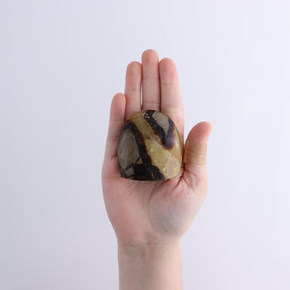 Septarian Freeforms Set of 18 - Expert Wholesale and Supplier of Wholesale Crystals & Bulk Gemstones, ["Flats","Freeforms","Madagascar","Septarian"]