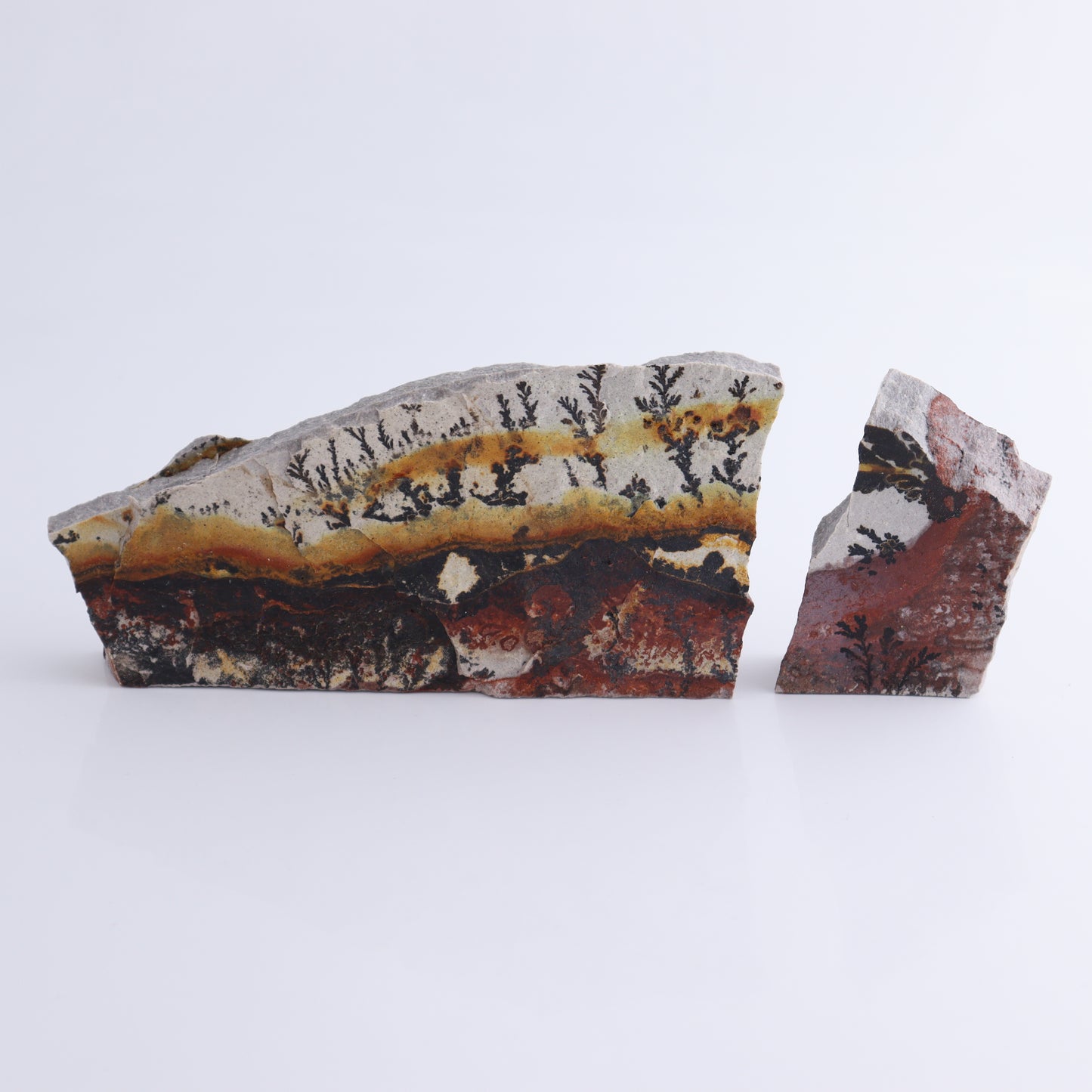 Dendrites Flat Set of 6 - Expert Wholesale and Supplier of Wholesale Crystals & Bulk Gemstones, ["Dendrite","Flats"]