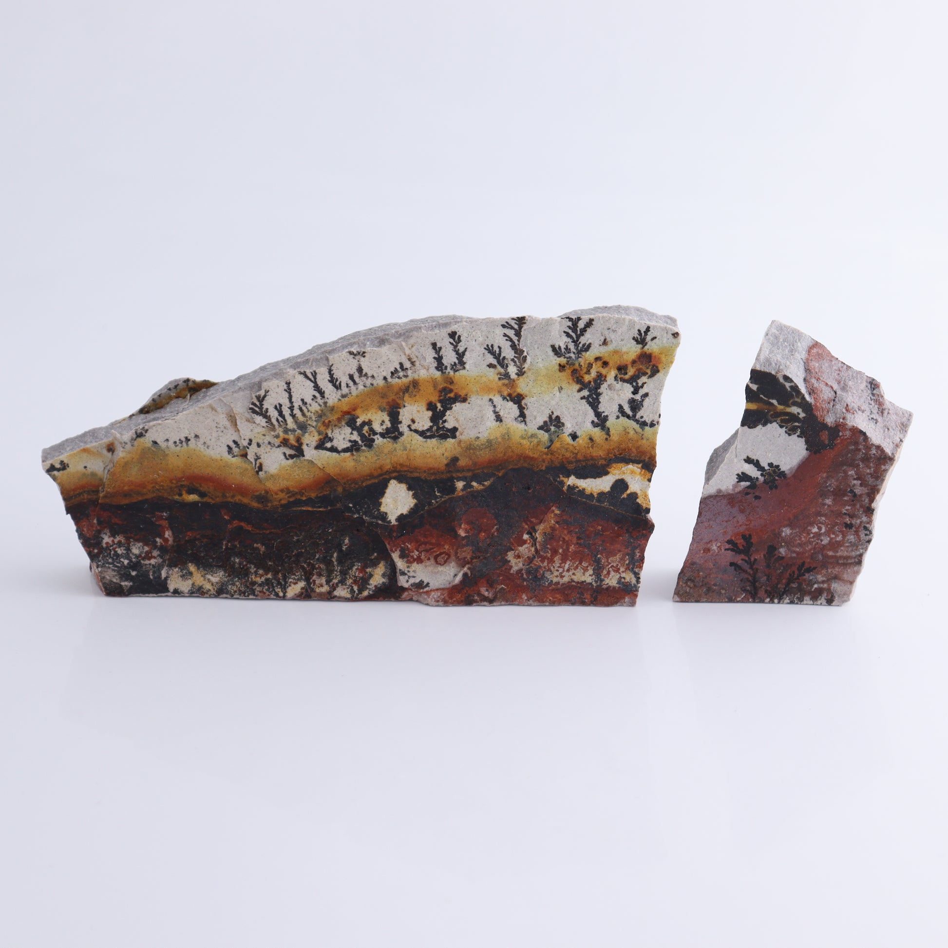 Dendrites Flat Set of 6 - Expert Wholesale and Supplier of Wholesale Crystals & Bulk Gemstones, ["Dendrite","Flats"]