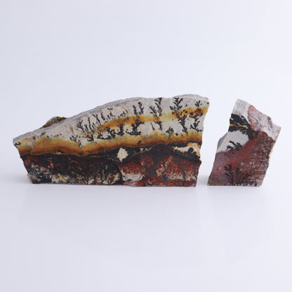 Dendrites Flat Set of 6 - Expert Wholesale and Supplier of Wholesale Crystals & Bulk Gemstones, ["Dendrite","Flats"]