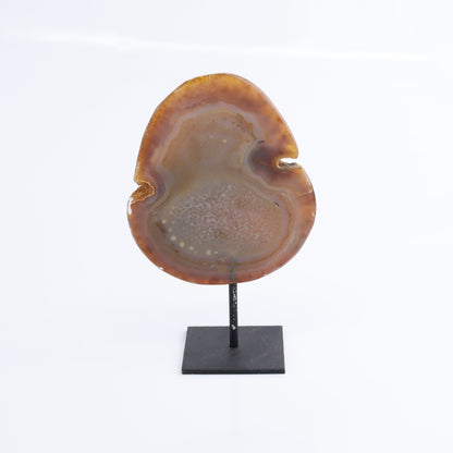 Agate on Pins Set of 4 - Expert Wholesale and Supplier of Wholesale Crystals & Bulk Gemstones, ["Agate","Brazil","close_50","On Pins"]