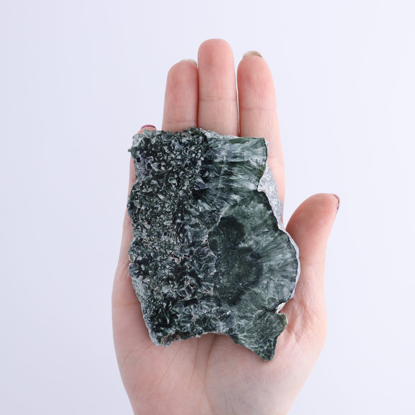 Seraphinite Slices Set of 12