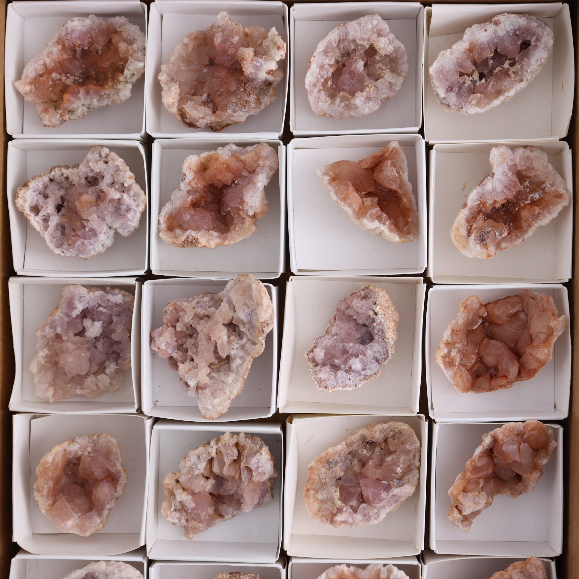 Pink Amethyst Flat of 20 - Expert Wholesale and Supplier of Wholesale Crystals & Bulk Gemstones, ["Amethyst","Pink Amethyst"]