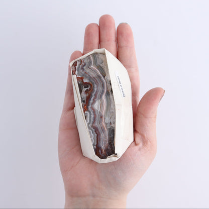 Crazy Lace Agate Flat of 15