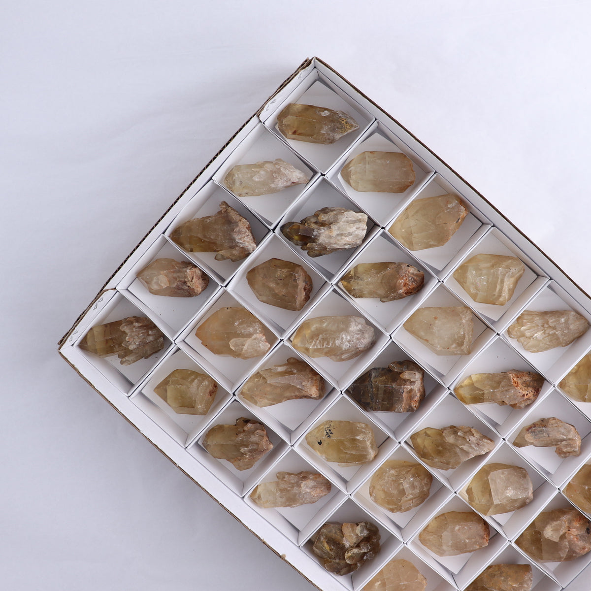 Congo Citrine Set of 35