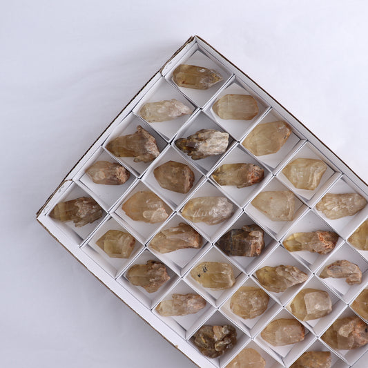 Congo Citrine Set of 35