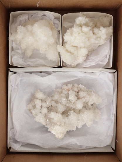 Aragonite Clusters Flat - Expert Wholesale and Supplier of Wholesale Crystals & Bulk Gemstones, []