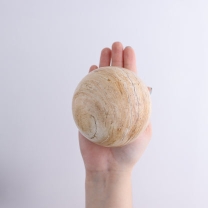 Petrified Wood Spheres Set of 4 - Expert Wholesale and Supplier of Wholesale Crystals & Bulk Gemstones, ["Indonesia","Petrified Wood","Spheres"]