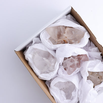 Naica Selenite Flat Set of 5 - Expert Wholesale and Supplier of Wholesale Crystals & Bulk Gemstones, ["Naica Selenite","selenite"]