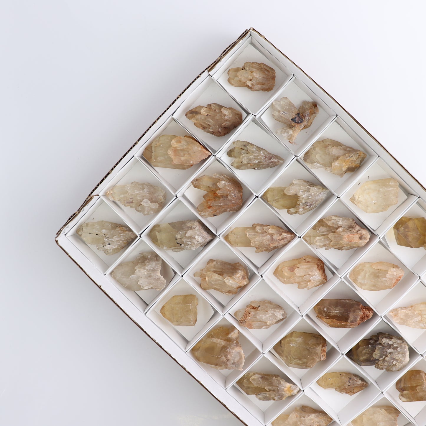 Congo Citrine Set of 35