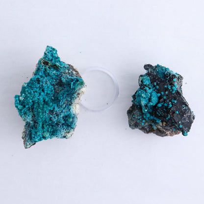 Chrysocolla on Quartz Roughs Set of 6