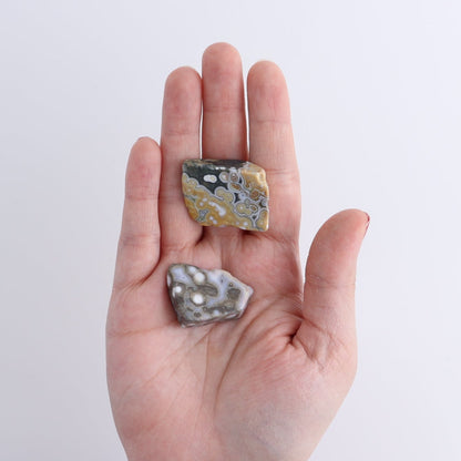 Ocean Jasper Freeforms Flat