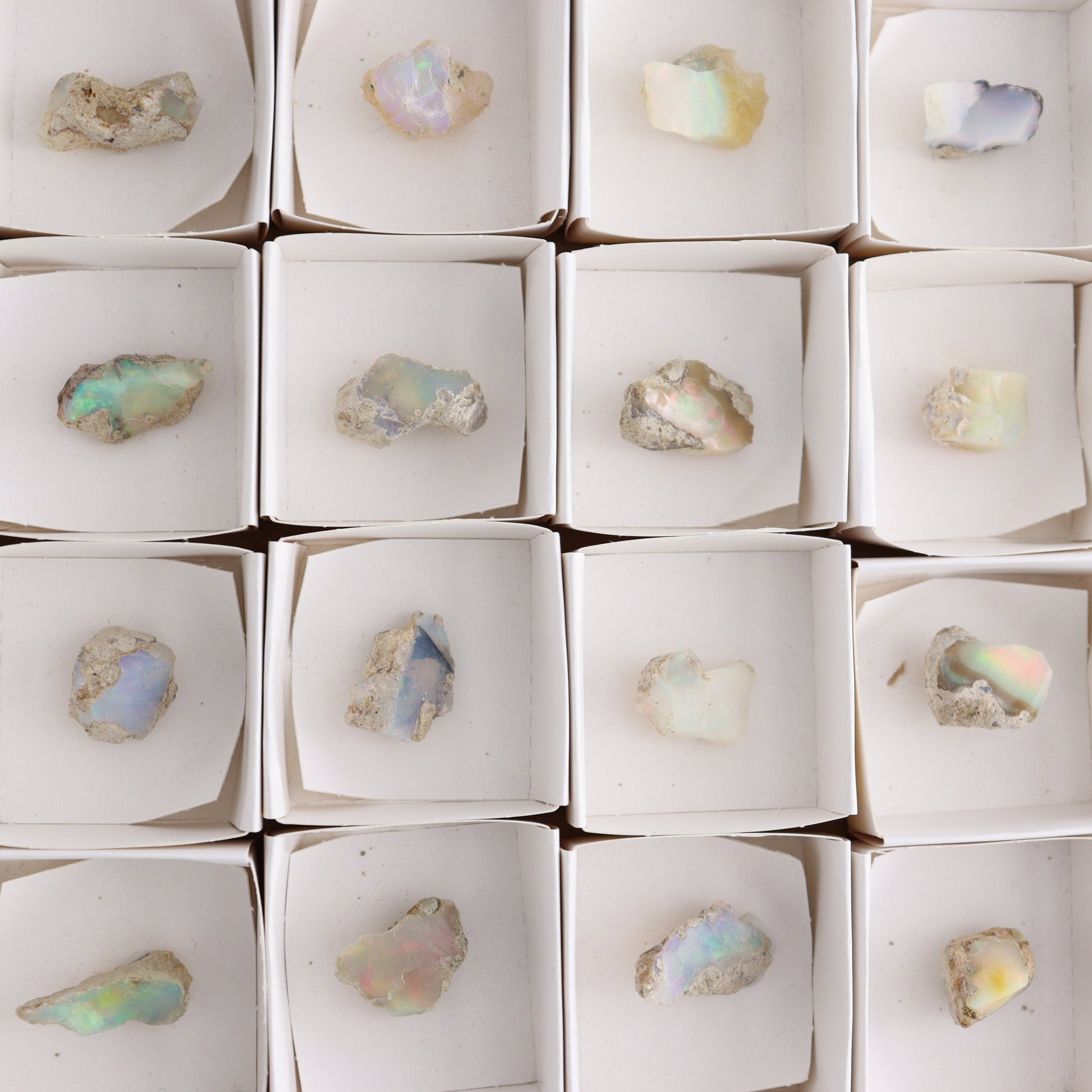 Ethiopian Opal Set of 24 - Expert Wholesale and Supplier of Wholesale Crystals & Bulk Gemstones, ["Ethiopia","ethiopian opal","Opal"]