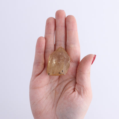 Congo Citrine Set of 12 - Expert Wholesale and Supplier of Wholesale Crystals & Bulk Gemstones, ["Citrine","Congo","Rough","Roughs"]