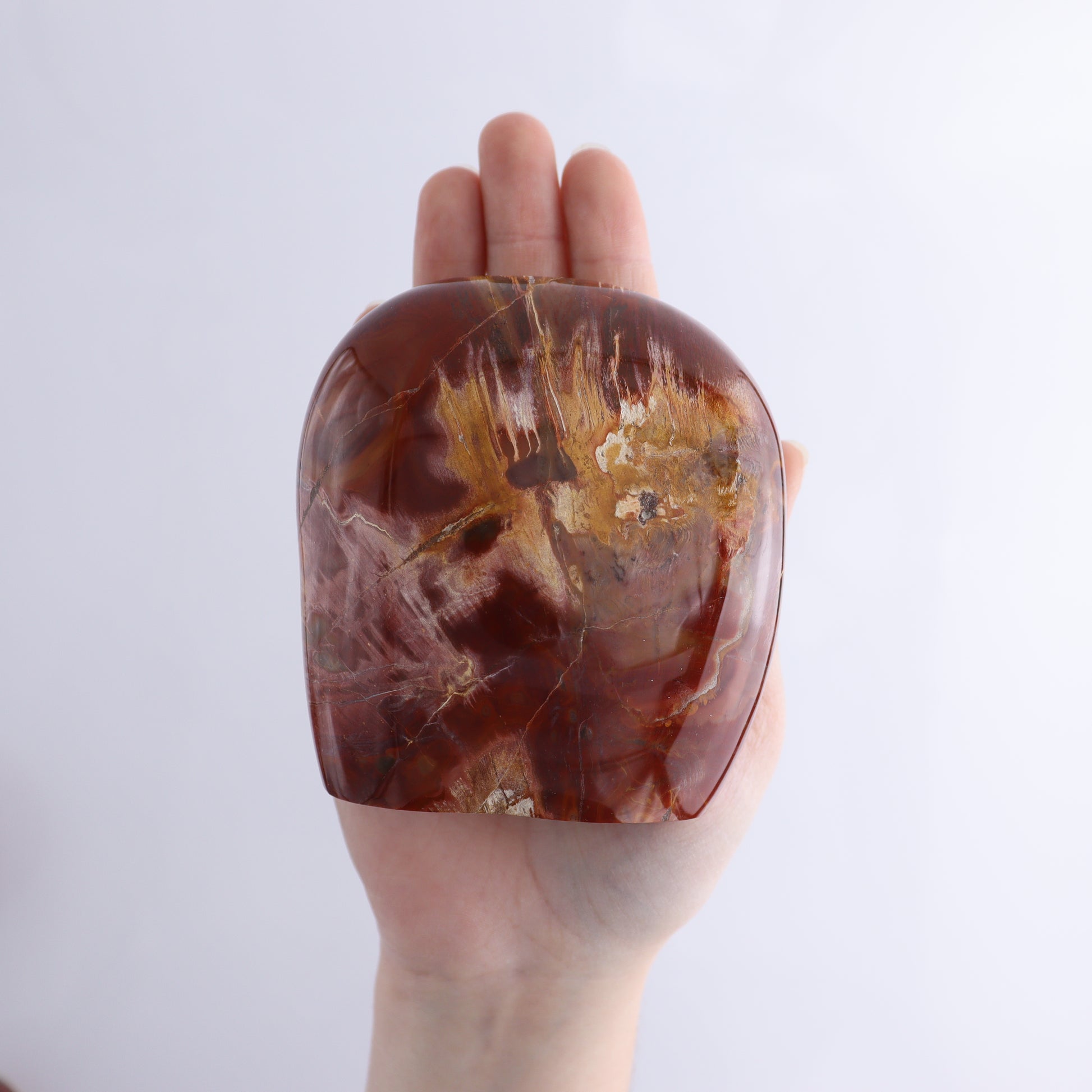 Petrified Wood Freeform Set of 3 - Expert Wholesale and Supplier of Wholesale Crystals & Bulk Gemstones, ["Freeforms","Madagascar","Petrified Wood"]