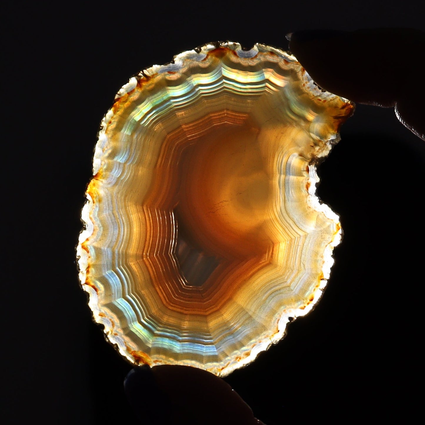 Iris Agate Slices Set of 8 - Expert Wholesale and Supplier of Wholesale Crystals & Bulk Gemstones, ["Agate","Iris Agate","Slices and Slabs"]