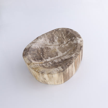 Petrified Wood Bowl - Expert Wholesale and Supplier of Wholesale Crystals & Bulk Gemstones, ["Bowls","Indonesia","Petrified Wood"]