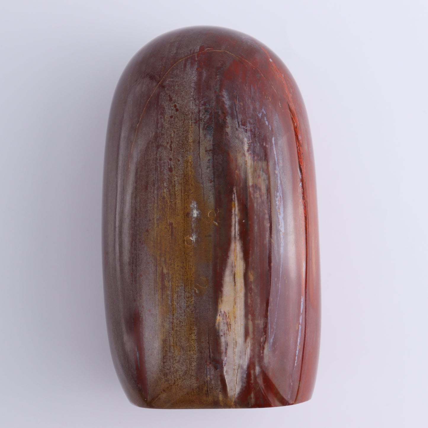 Petrified Wood Freeform Set of 2 - Expert Wholesale and Supplier of Wholesale Crystals & Bulk Gemstones, ["Freeforms","Madagascar","Petrified Wood"]