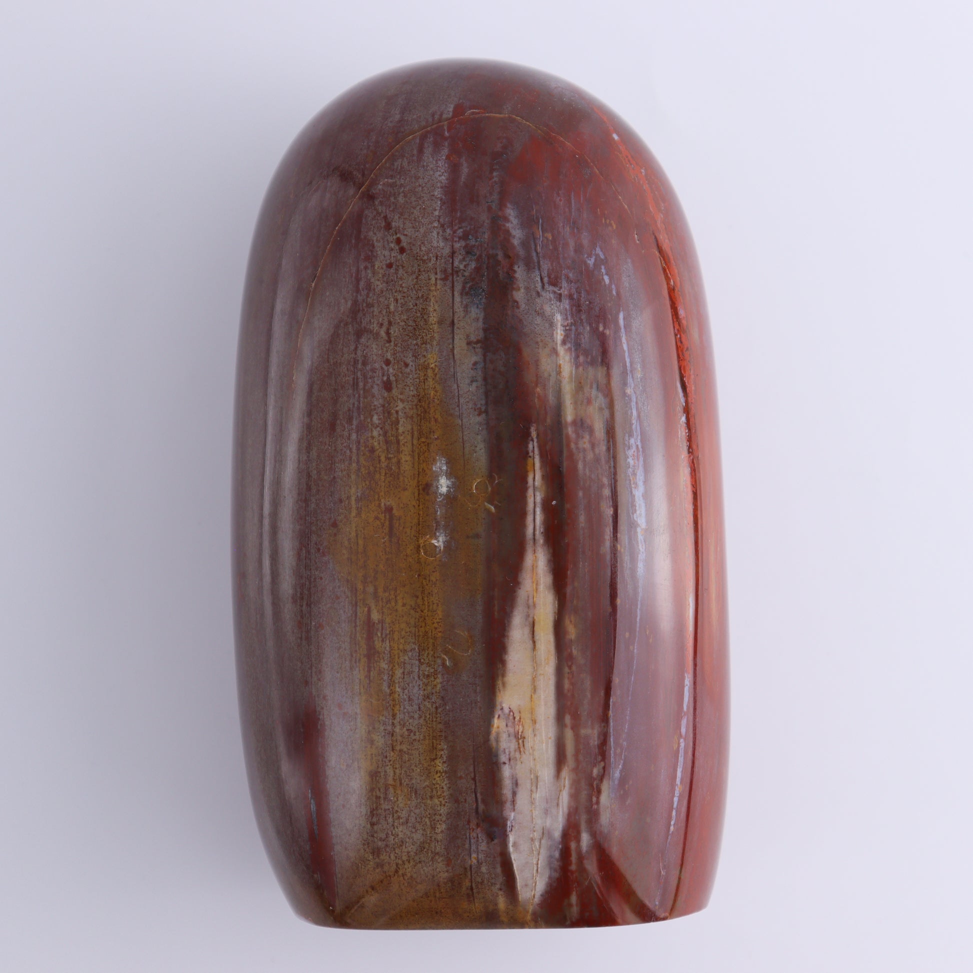 Petrified Wood Freeform Set of 2 - Expert Wholesale and Supplier of Wholesale Crystals & Bulk Gemstones, ["Freeforms","Madagascar","Petrified Wood"]