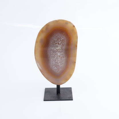 Agate on Pins Set of 4 - Expert Wholesale and Supplier of Wholesale Crystals & Bulk Gemstones, ["Agate","Brazil","close_50","On Pins"]