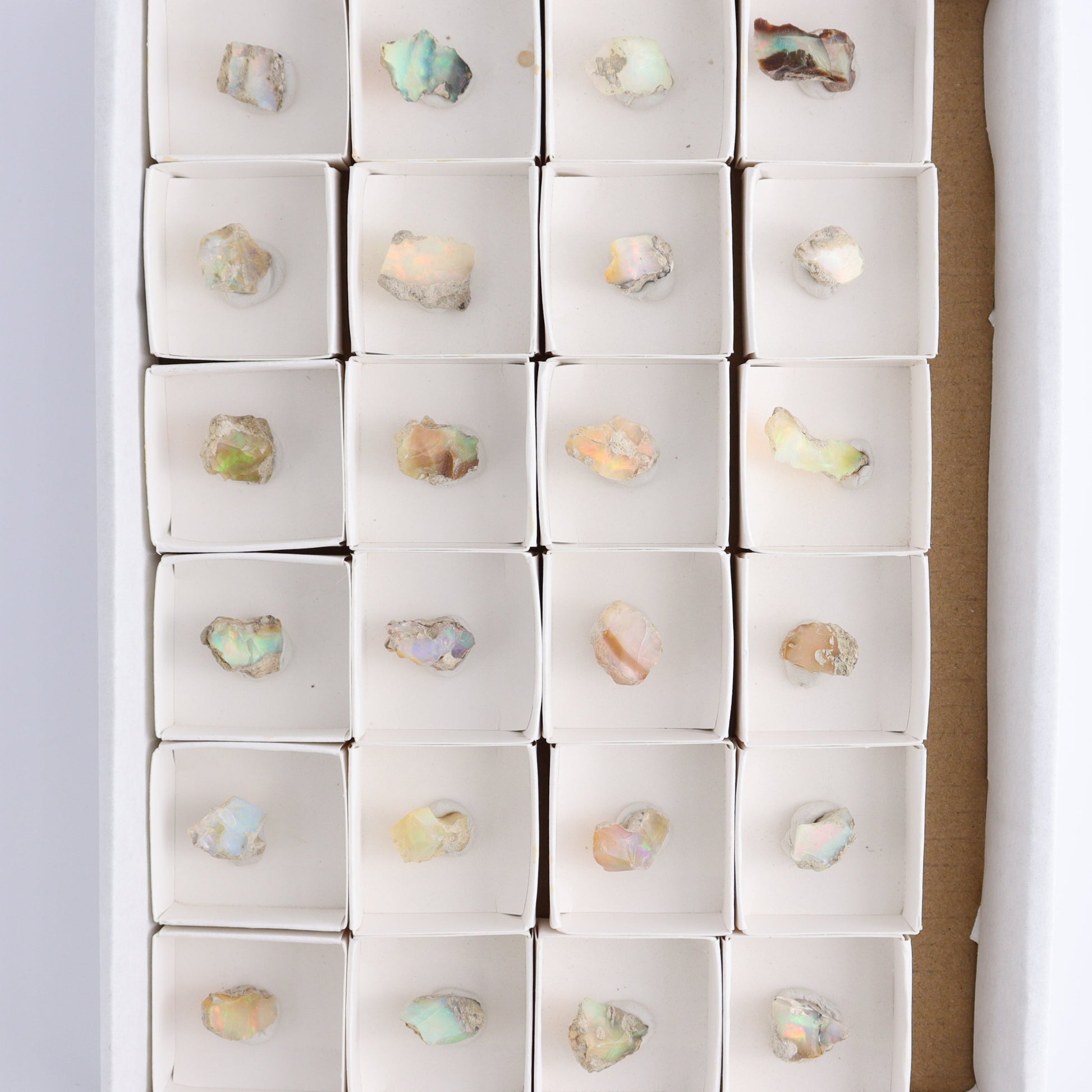Ethiopian Opal Set of 24 - Expert Wholesale and Supplier of Wholesale Crystals & Bulk Gemstones, ["Ethiopia","ethiopian opal","Opal"]