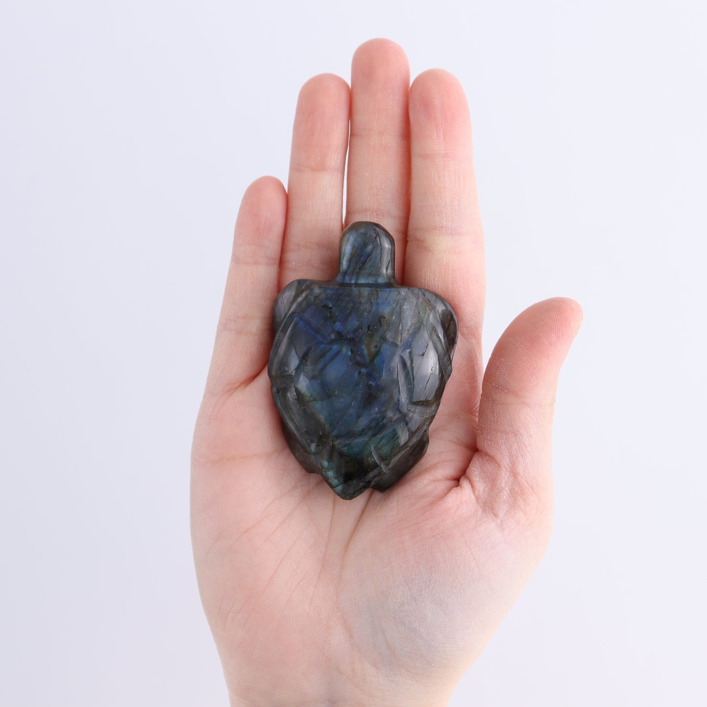 Labradorite Turtles Set of 5