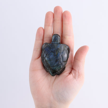 Labradorite Turtles Set of 5