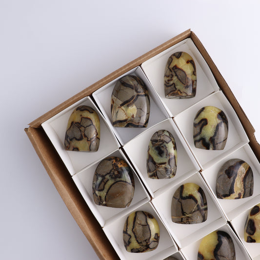 Septarian Freeforms Set of 12 - Expert Wholesale and Supplier of Wholesale Crystals & Bulk Gemstones, ["Flats","Freeforms","Madagascar","Septarian"]