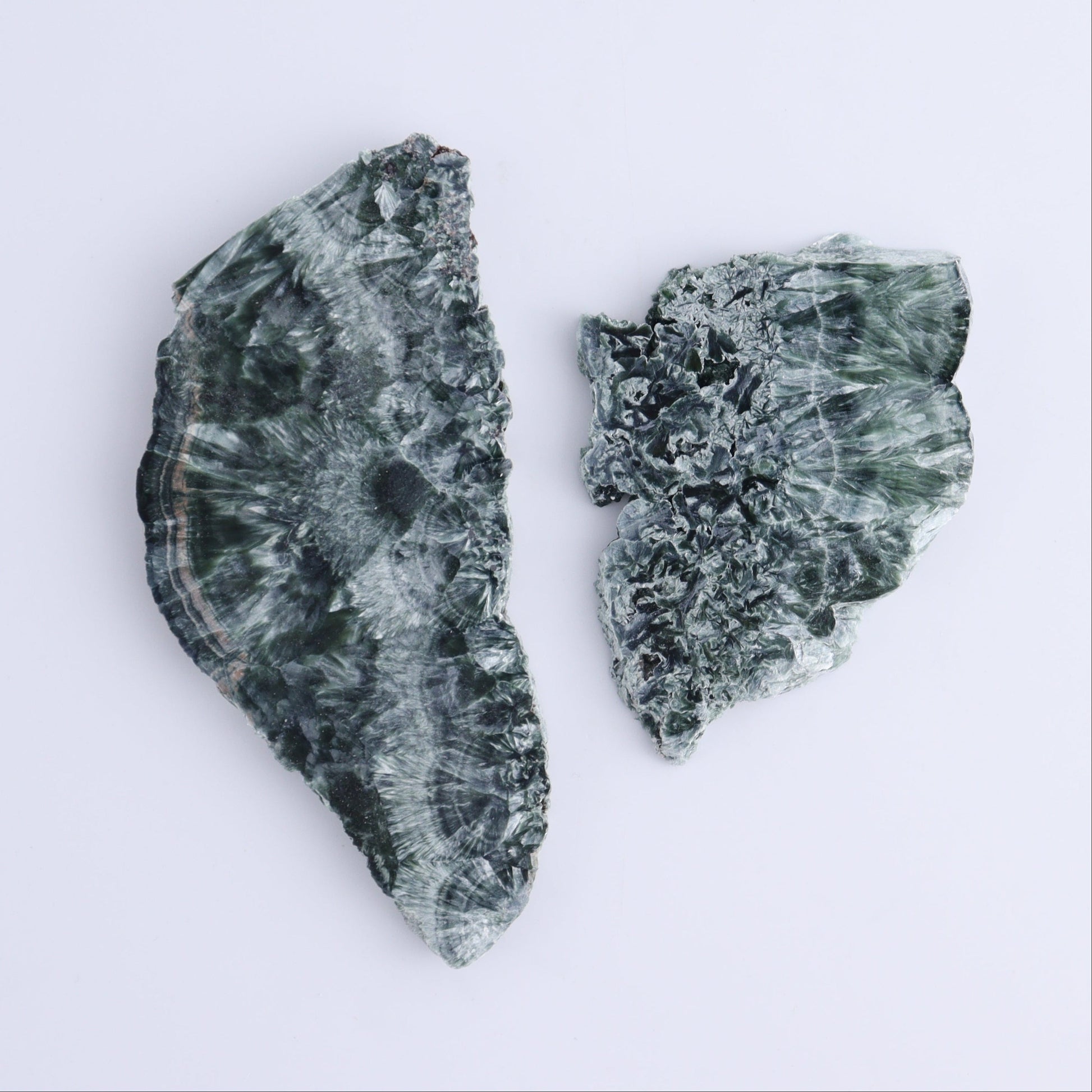 Seraphinite Slices Set of 12 - Expert Wholesale and Supplier of Wholesale Crystals & Bulk Gemstones, ["Russia","Seraphinite","Slices and Slabs"]