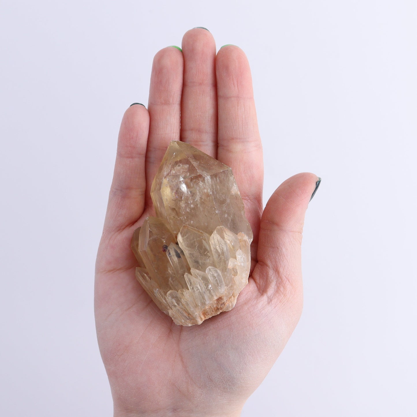 Congo Citrine Set of 12