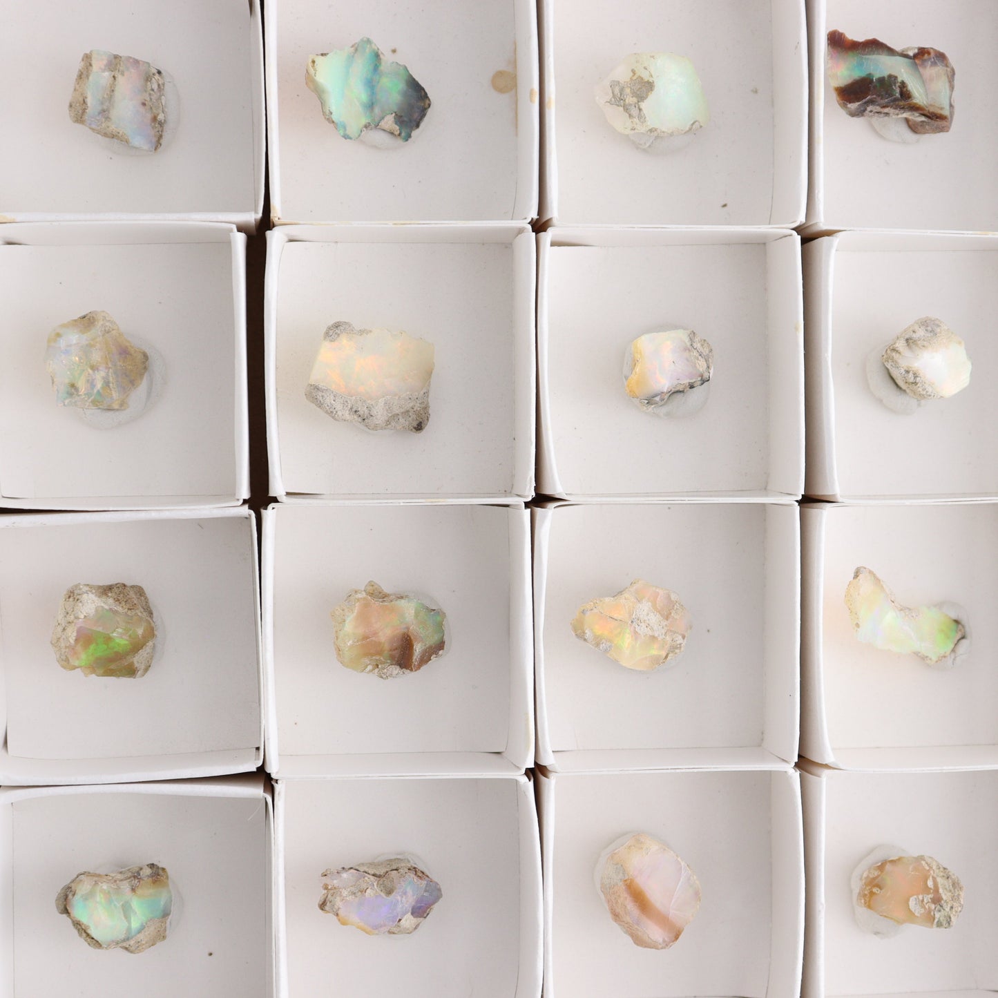 Ethiopian Opal Set of 24 - Expert Wholesale and Supplier of Wholesale Crystals & Bulk Gemstones, ["Ethiopia","ethiopian opal","Opal"]