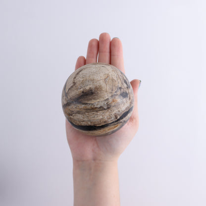 Petrified Wood Spheres Set of 4 - Expert Wholesale and Supplier of Wholesale Crystals & Bulk Gemstones, ["Indonesia","Petrified Wood","Spheres"]