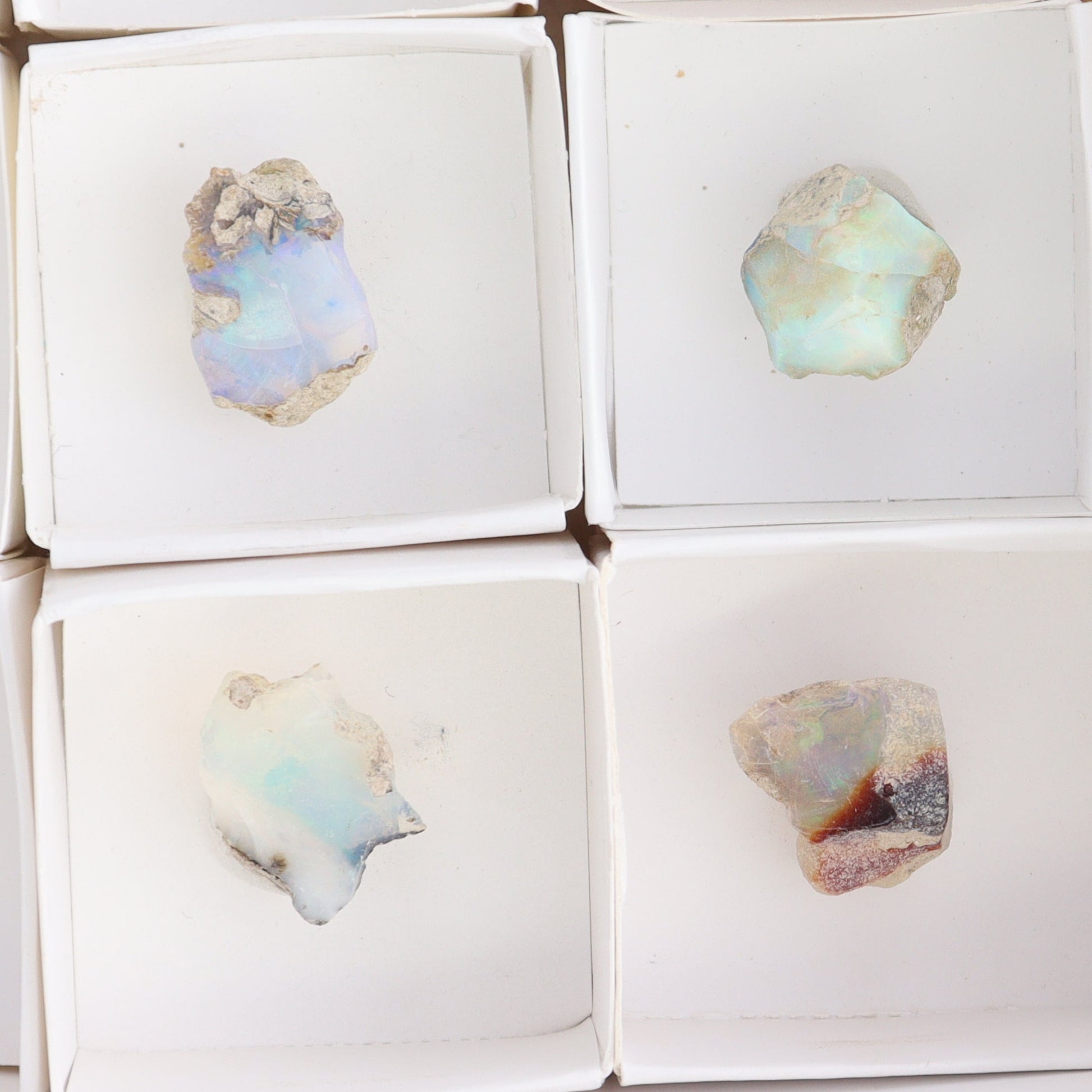 Ethiopian Opal Set of 10 - Expert Wholesale and Supplier of Wholesale Crystals & Bulk Gemstones, ["Ethiopia","ethiopian opal","Opal"]