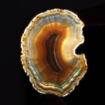Iris Agate Slices Set of 8 - Expert Wholesale and Supplier of Wholesale Crystals & Bulk Gemstones, ["Agate","Iris Agate","Slices and Slabs"]