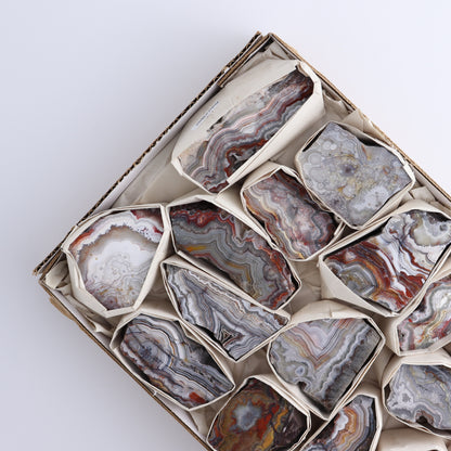 Crazy Lace Agate Flat of 15