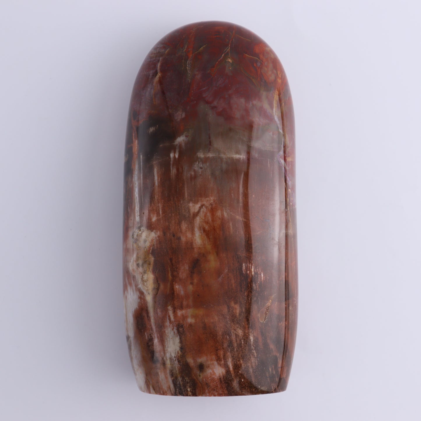Petrified Wood Freeform Set of 2 - Expert Wholesale and Supplier of Wholesale Crystals & Bulk Gemstones, ["Freeforms","Madagascar","Petrified Wood"]