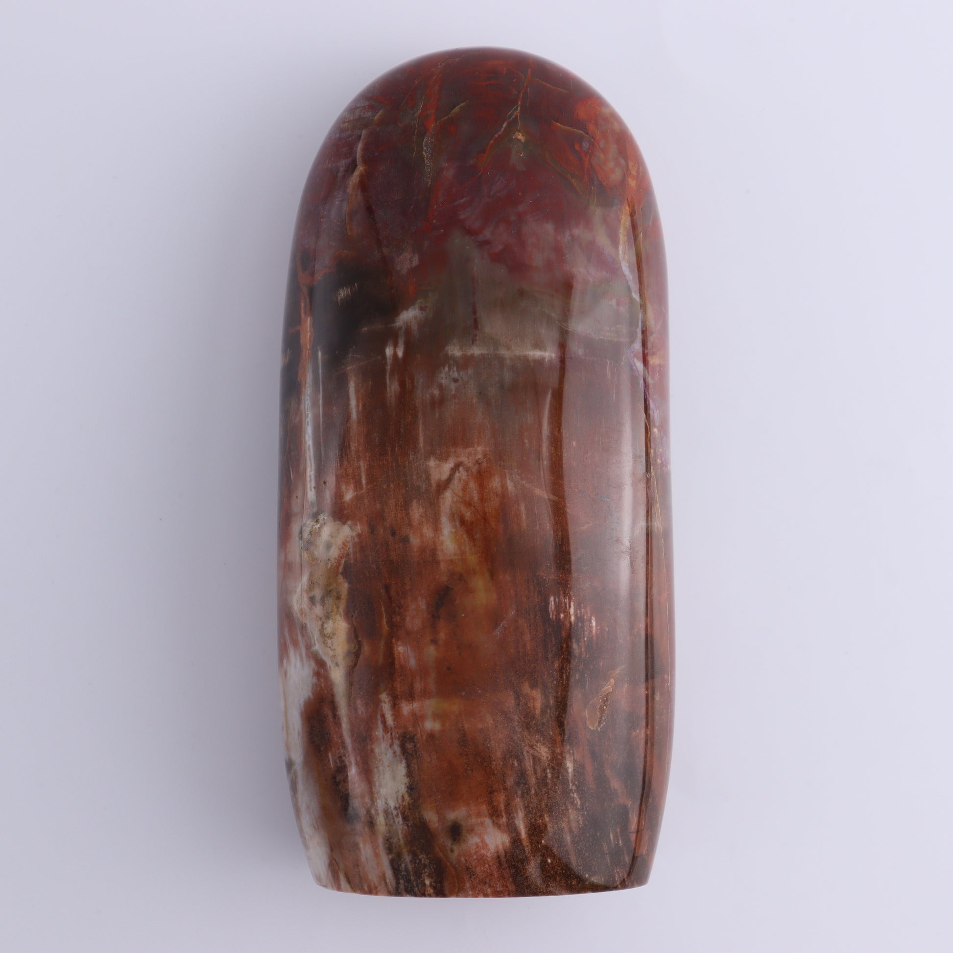 Petrified Wood Freeform Set of 2 - Expert Wholesale and Supplier of Wholesale Crystals & Bulk Gemstones, ["Freeforms","Madagascar","Petrified Wood"]