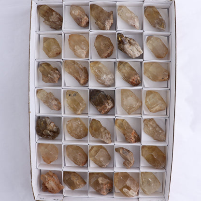 Congo Citrine Set of 35