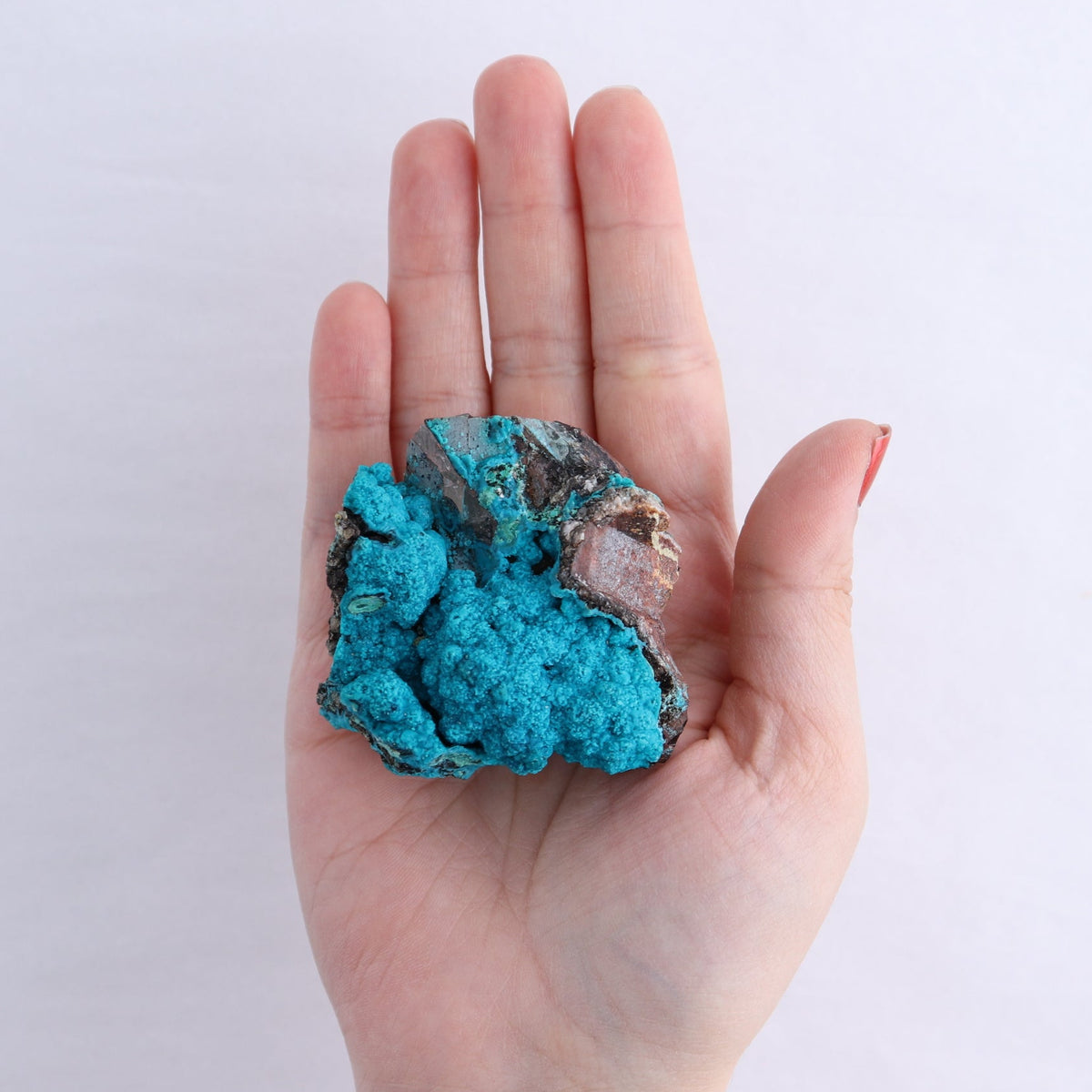 Chrysocolla on Quartz Roughs Set of 6