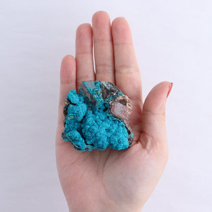 Chrysocolla on Quartz Roughs Set of 6