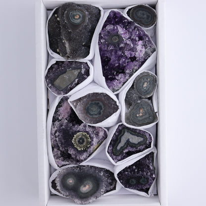 Uruguay Amethyst Clusters with "Eyes" Flat of 10 - Expert Wholesale and Supplier of Wholesale Crystals & Bulk Gemstones, ["Amethyst","Clusters","Eyes Amethyst","Uruguay"]