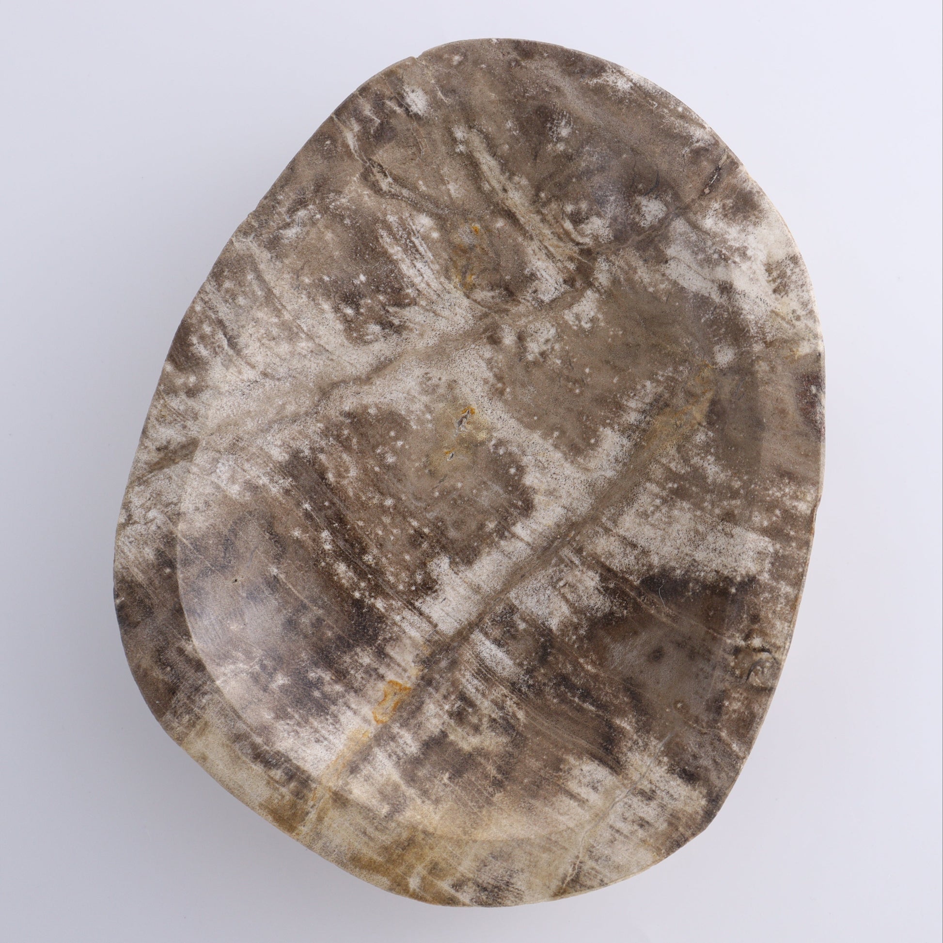 Petrified Wood Bowl - Expert Wholesale and Supplier of Wholesale Crystals & Bulk Gemstones, ["Bowls","Indonesia","Petrified Wood"]