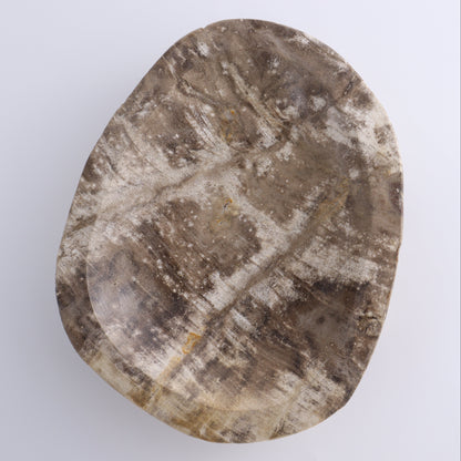Petrified Wood Bowl - Expert Wholesale and Supplier of Wholesale Crystals & Bulk Gemstones, ["Bowls","Indonesia","Petrified Wood"]