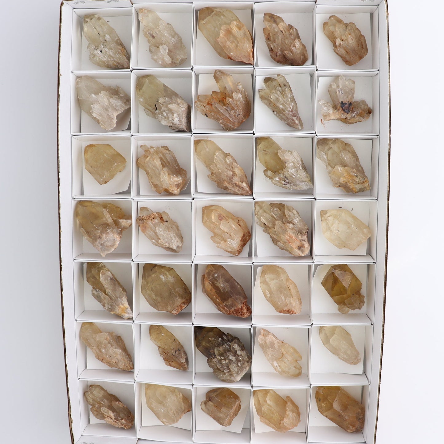 Congo Citrine Set of 35