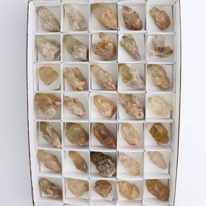 Congo Citrine Set of 35