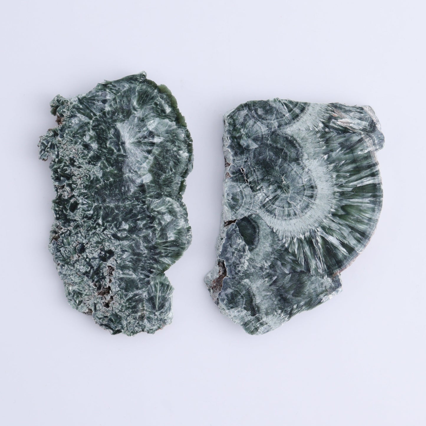 Seraphinite Slices Set of 12 - Expert Wholesale and Supplier of Wholesale Crystals & Bulk Gemstones, ["Russia","Seraphinite","Slices and Slabs"]